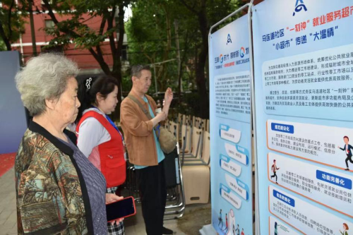 图片15