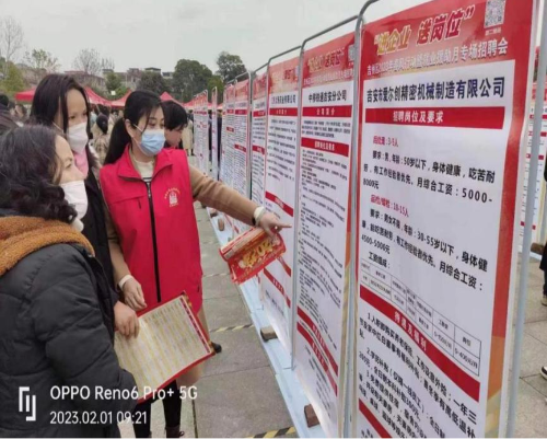 图片113