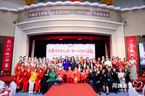 阿姨来了2