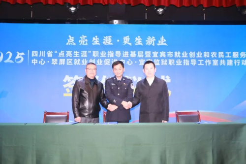 图片31