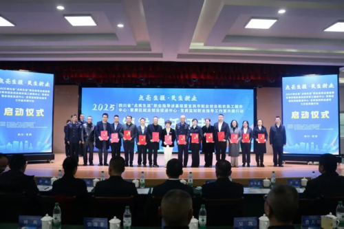 图片33