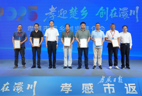 图片12