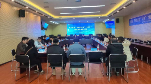 图片15