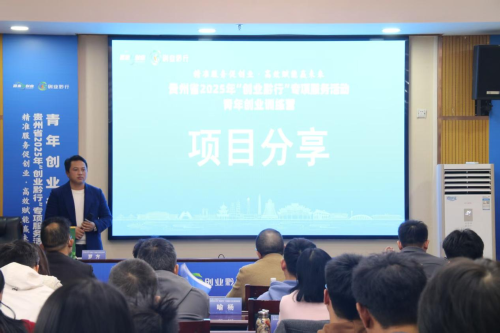 图片43