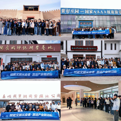 图片61